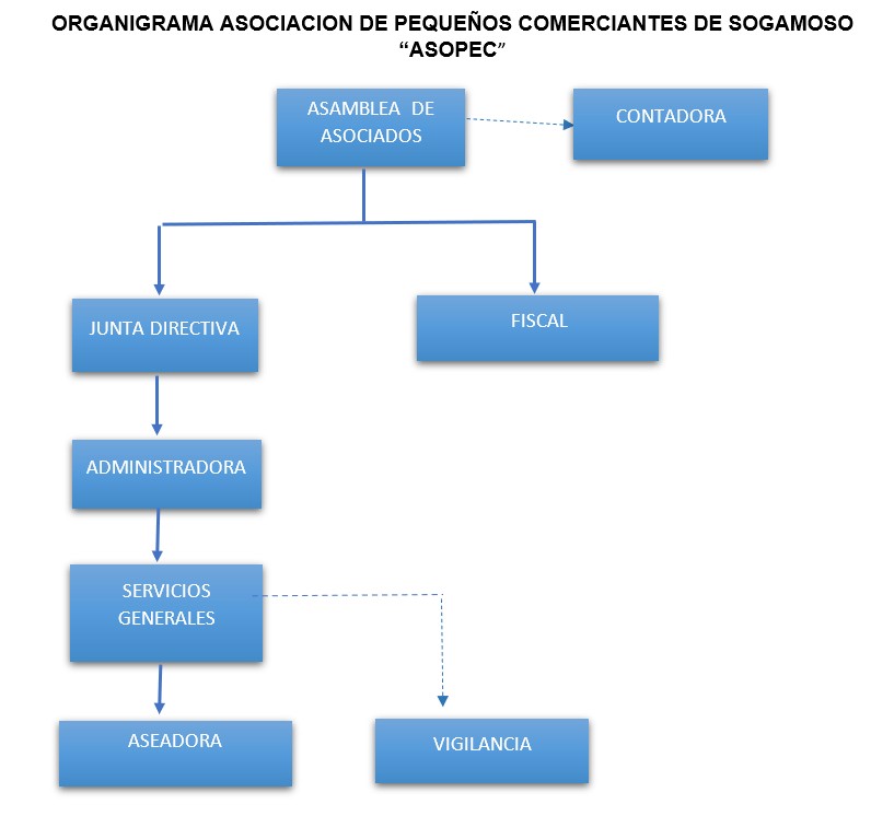 ORGANIGRAMA